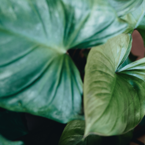 Photo de couverture : Objectif rentrée : les conseils de pros pour préserver son énergie