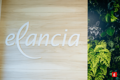 Franchise Elancia 4