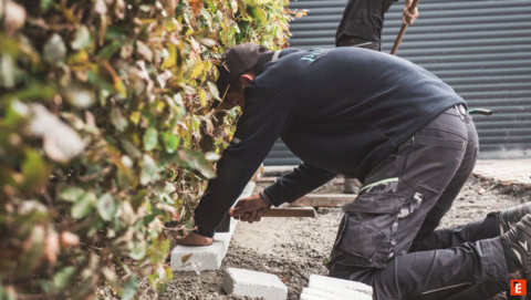 Franchise Pérénia 3