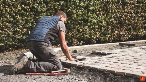 Franchise Pérénia 11