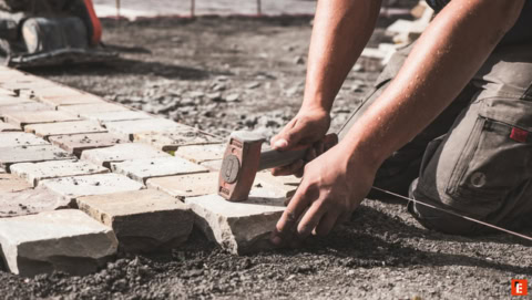 Franchise Pérénia 12