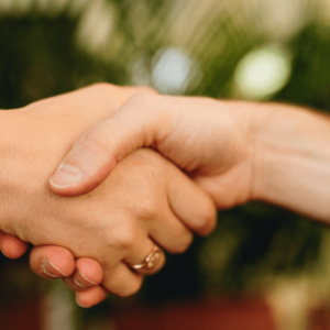 Une poignée de main pour conclure un accord sur fond de jungle.