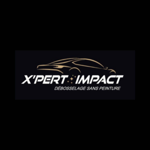 Logo Franchise X'PERT IMPACT