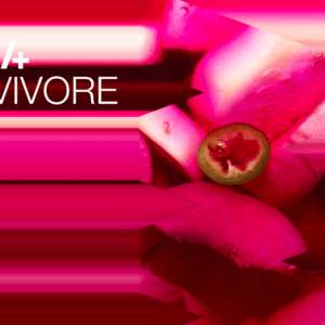 Sirha omnivore sur un fond rose.