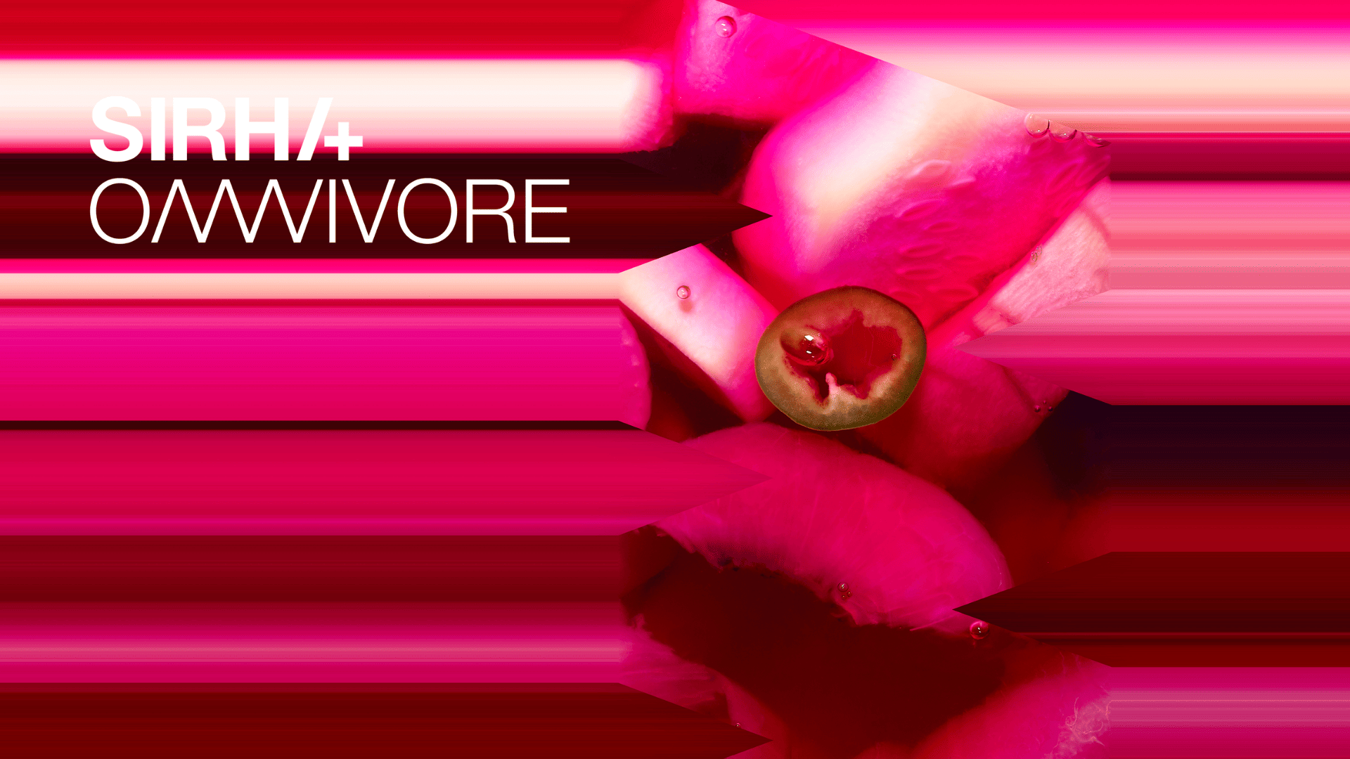 Sirha omnivore sur un fond rose.