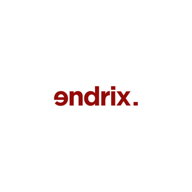 Logo Endrix