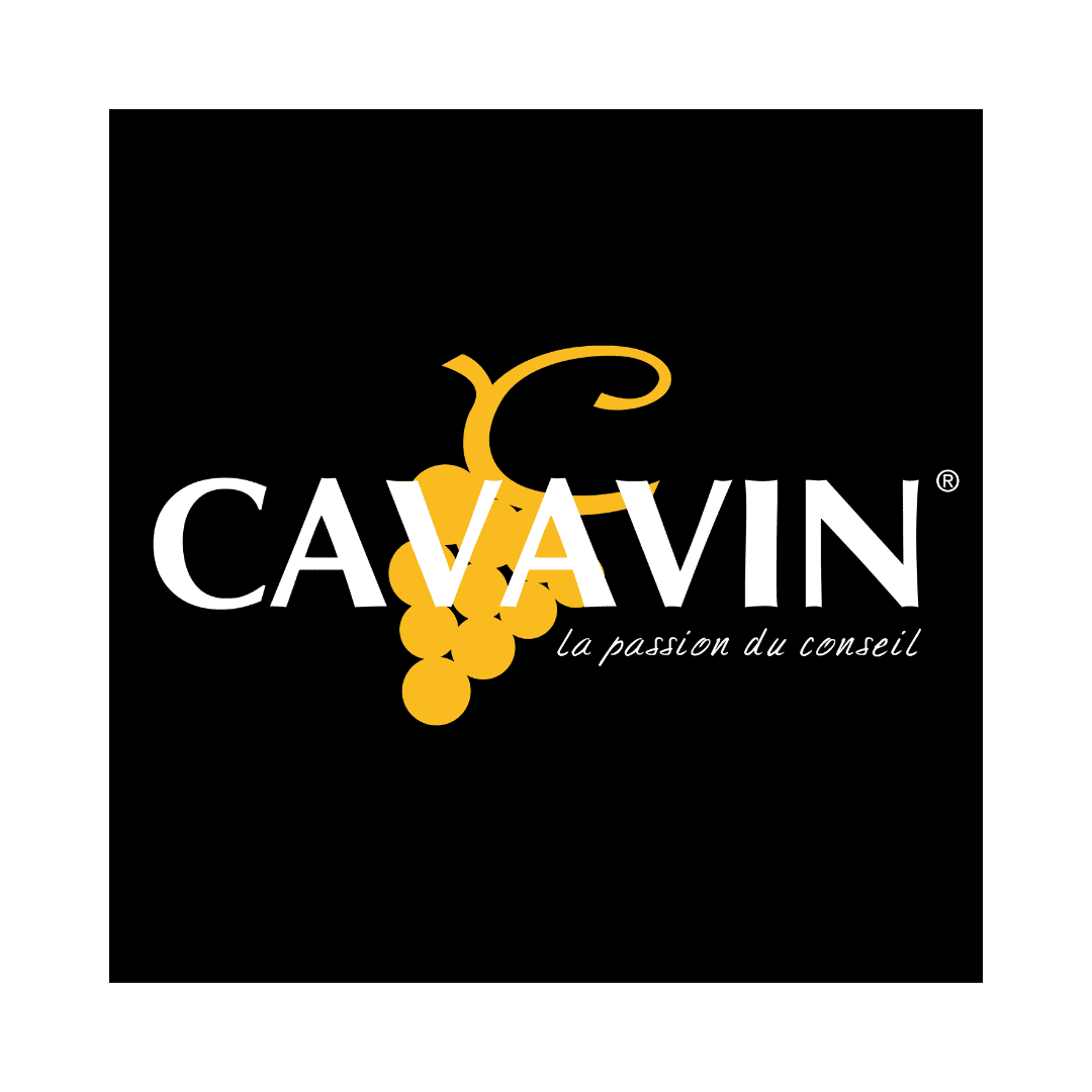 Logo Franchise Cavavin