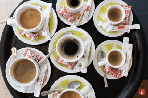 Franchise L'Alsacien 19