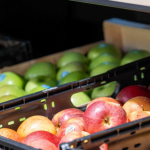 Des pommes vertes et rouges dans un rayon de magasin.
