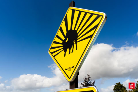 Franchise Buffalo Grill 19