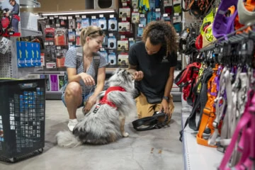 Un vendeur et un client discutent avec un chien au milieu