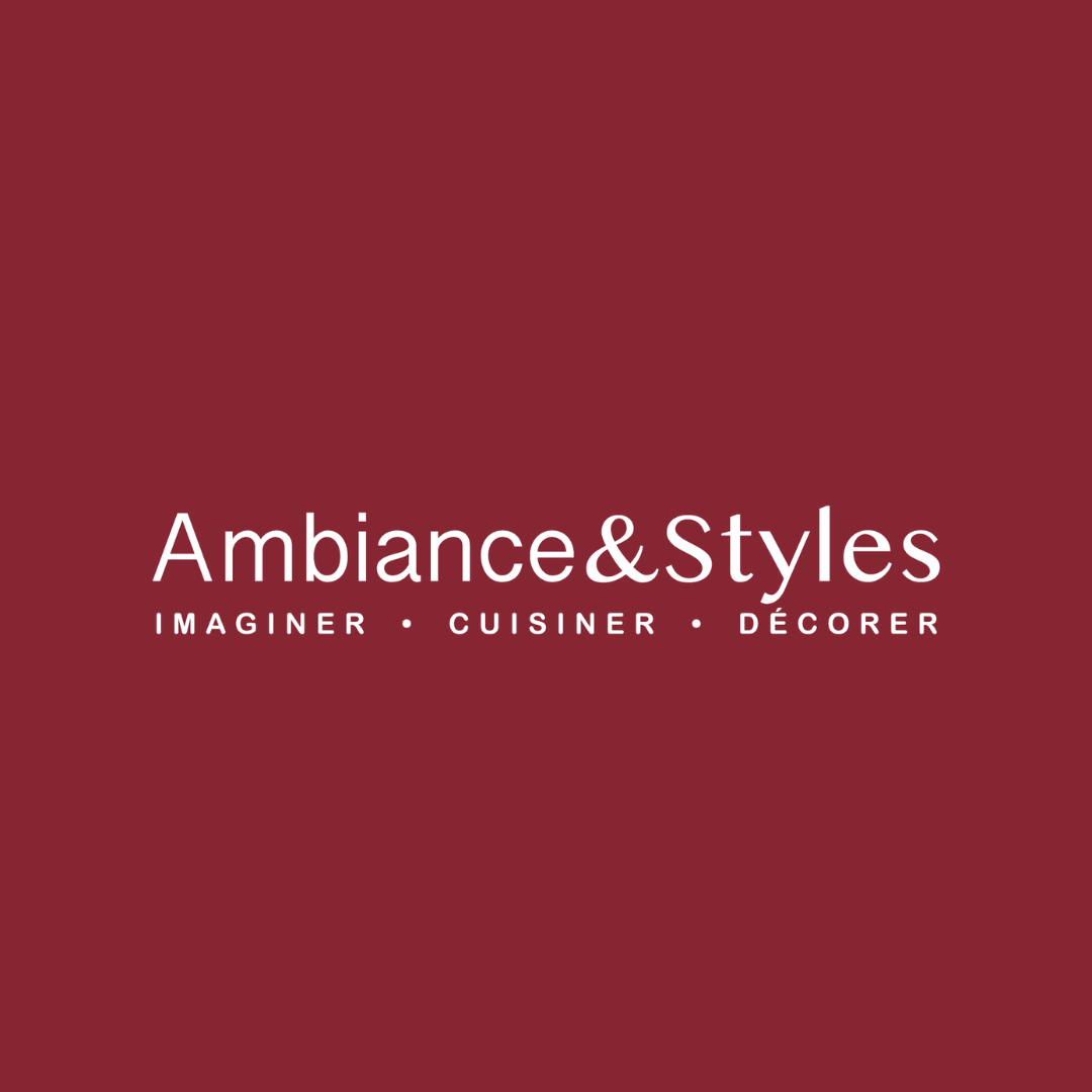 Logo Ambiance et Styles