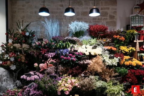 Franchise Monceau fleurs 18