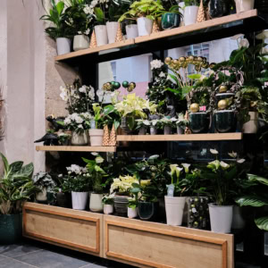 Franchise Monceau fleurs 15