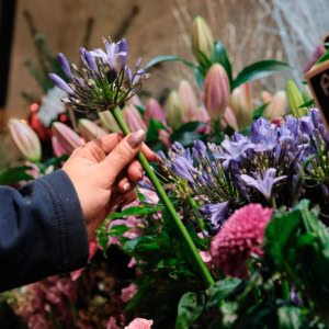 Franchise Monceau fleurs 6