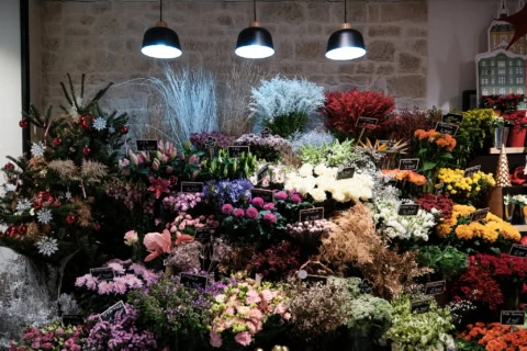 Plusieurs sortes de fleurs disposées Monceau fleurs