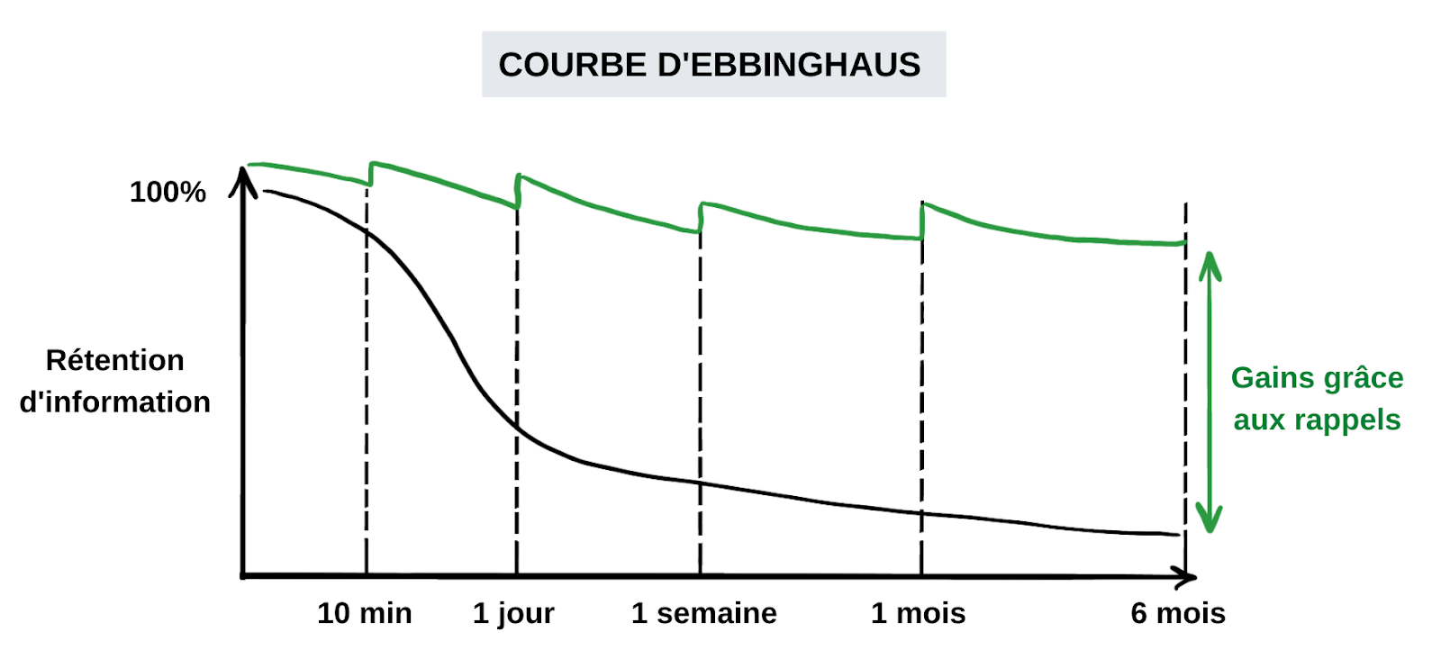 La courbe de l'oubli d'Ebbinghaus