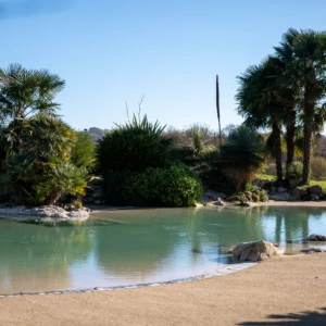 Réalisation d'un bassin par Naturaswim