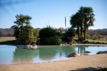 Réalisation d'un bassin par Naturaswim