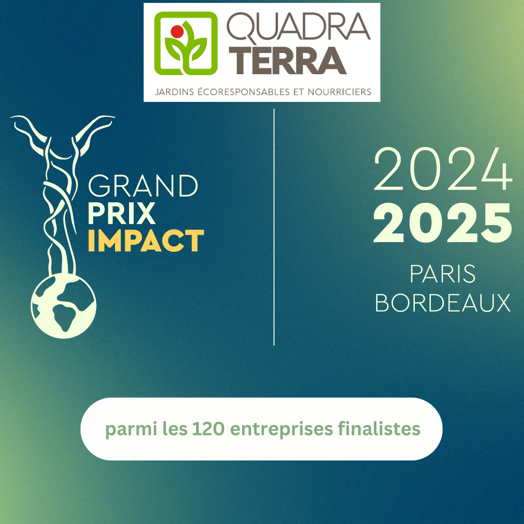 quadra terra grand prix