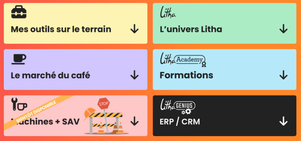 le memo litha lintranet au service des franchises 2