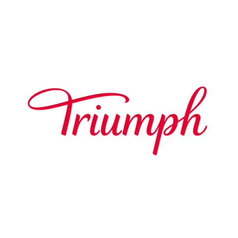 Logo Franchising triumph