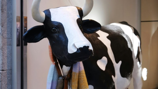 ale hop vache