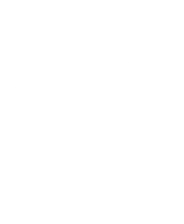 ice family logo blanc