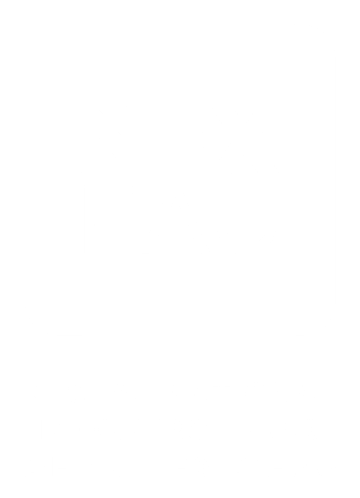 nexeau logo blanc