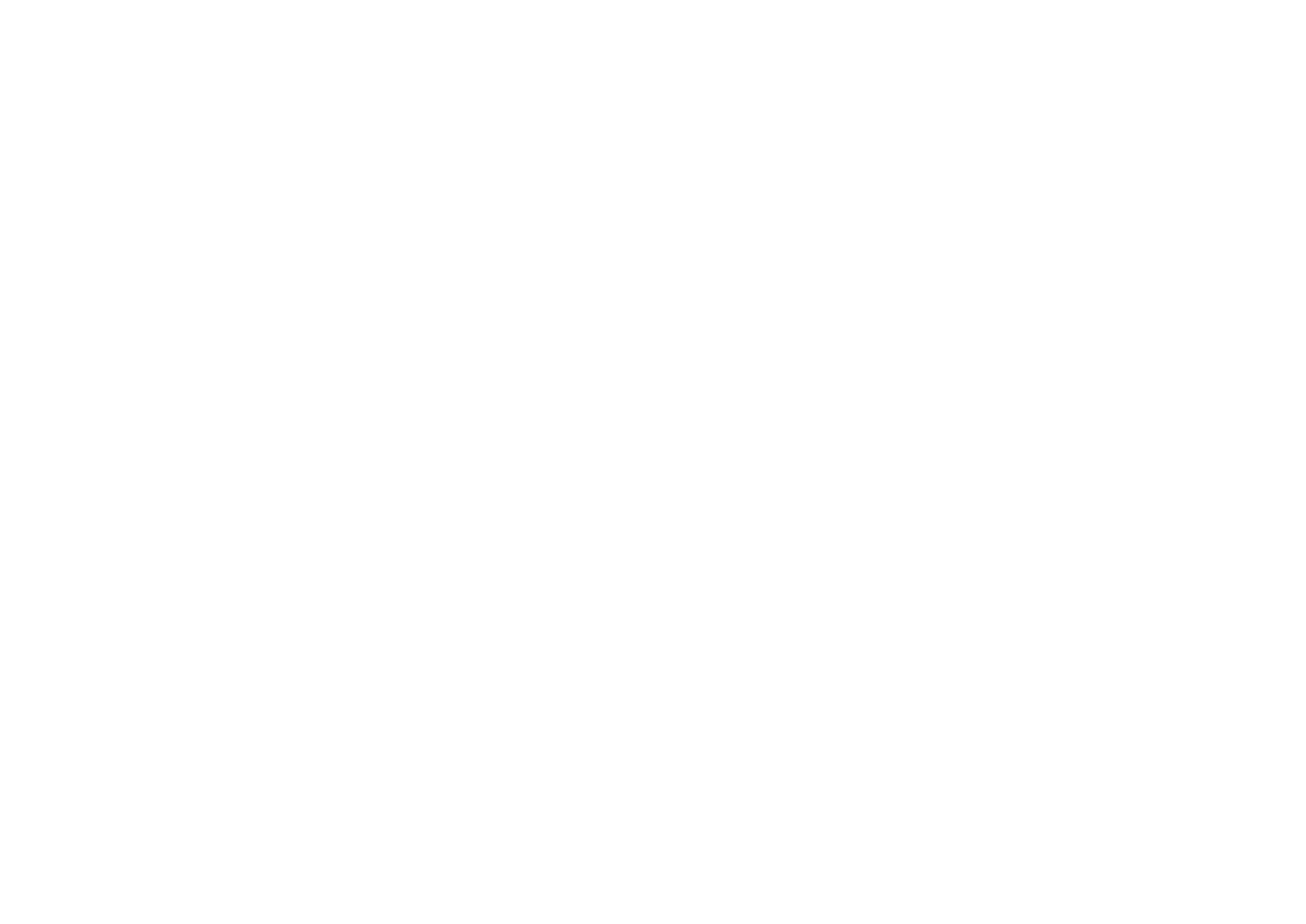 ninkasi logotype blans