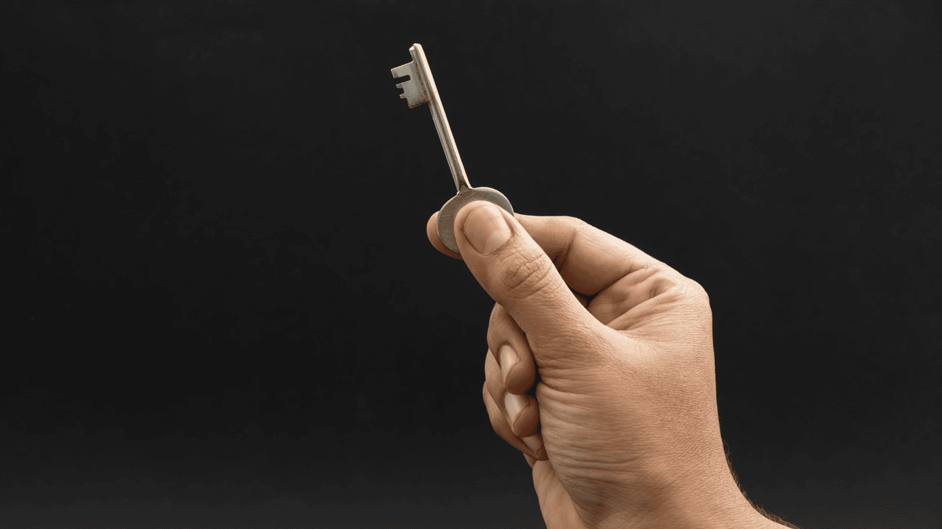 alquiler franquicias