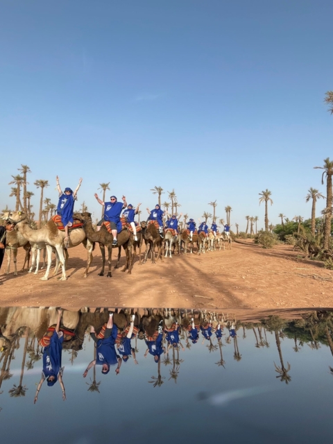 cap sur marrakech retour en images sur le congres annuel cuisine plus 📸 4