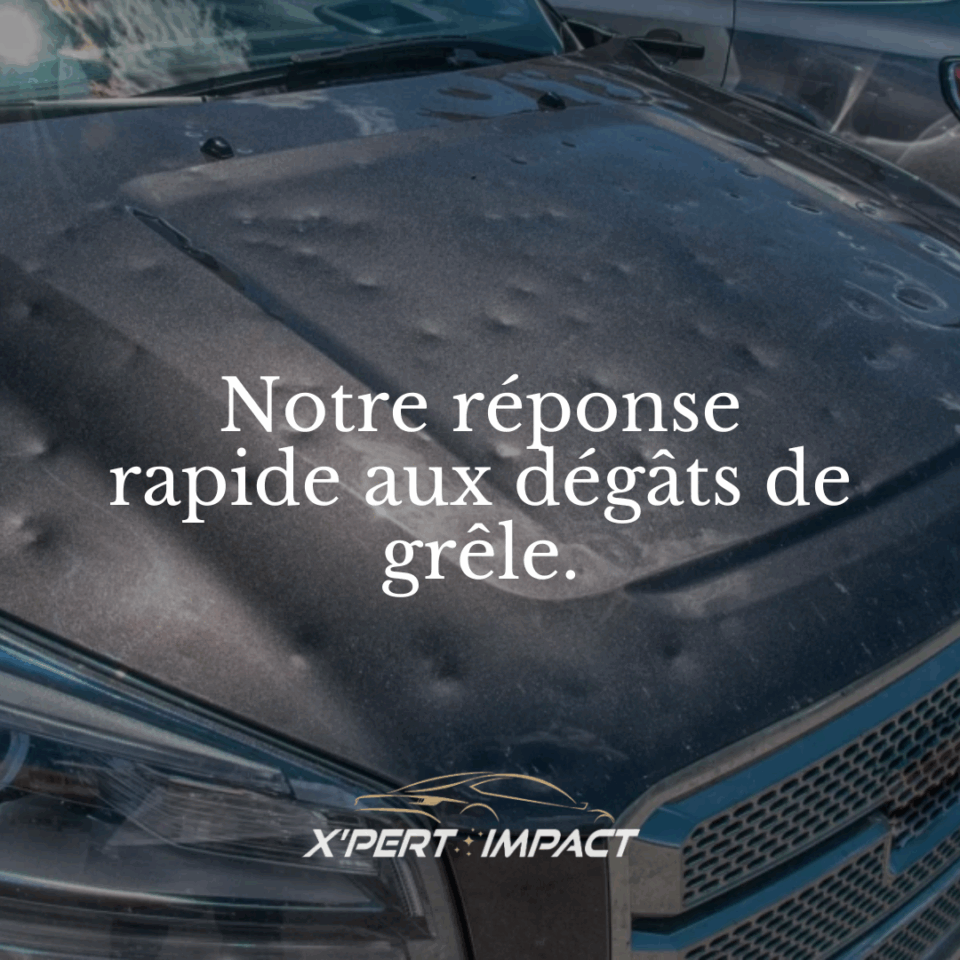 comment xpert impact gere un parc a grele de a a z 1