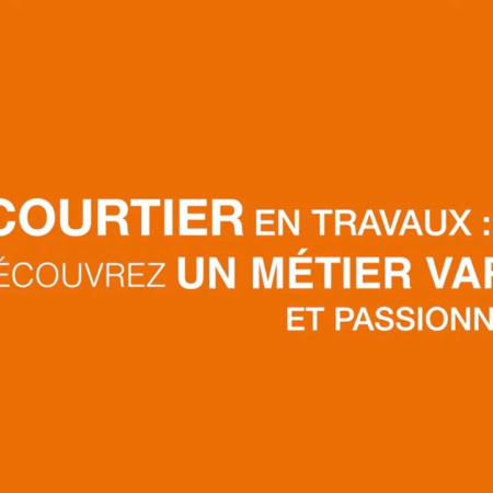 miniature metier courtier