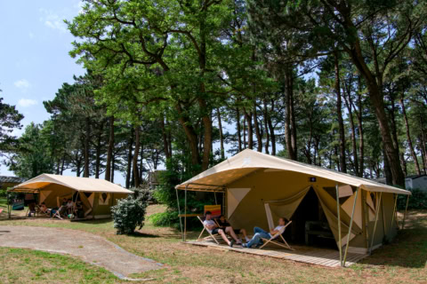 glamping en forêt: tentes sur plateformes