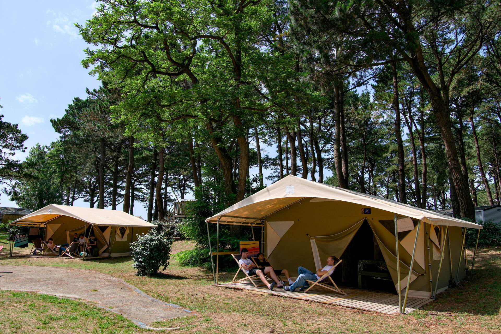 glamping en forêt: tentes sur plateformes