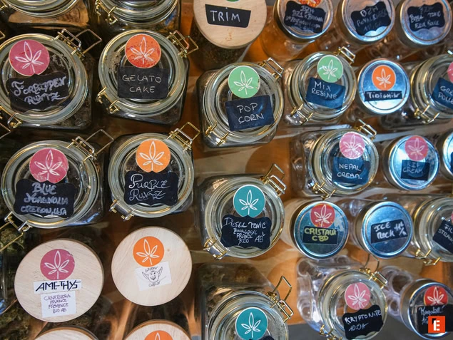 Fleurs de cannabis dans un pot en verre.