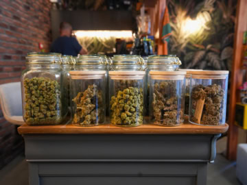 Fleurs de cannabis dans un pot en verre.