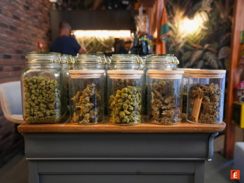 Fleurs de cannabis dans un pot en verre.