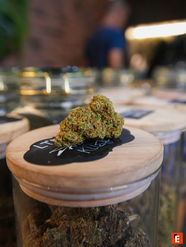 Fleurs de cannabis dans un pot en verre.