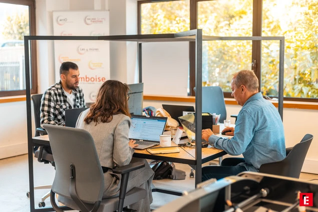 franchise framboise consulting 4