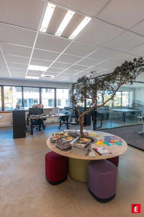 franchise framboise consulting 69