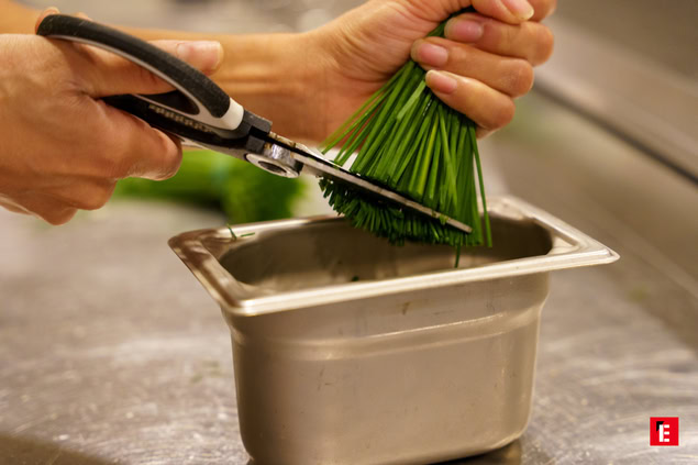 franchise la pizza de nico 72