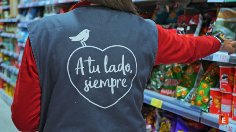 franquicia alcampo 12