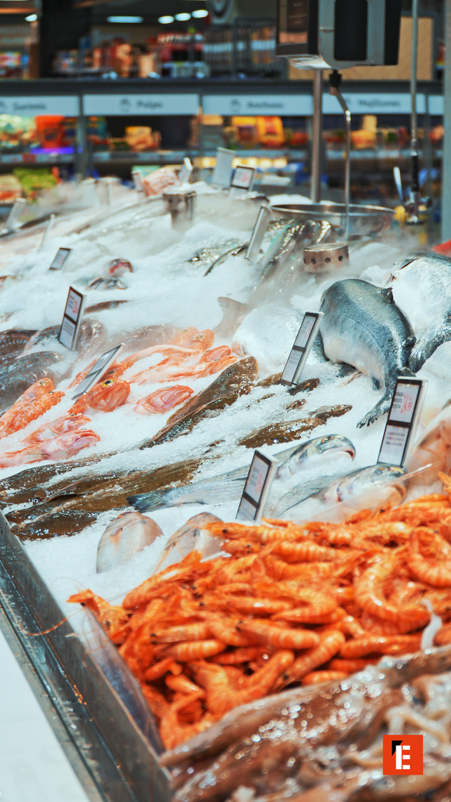 franquicia alcampo 19