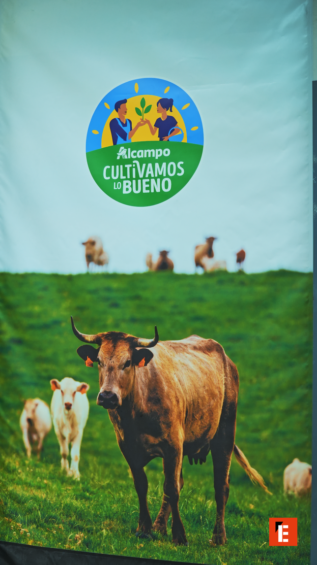 franquicia alcampo 20