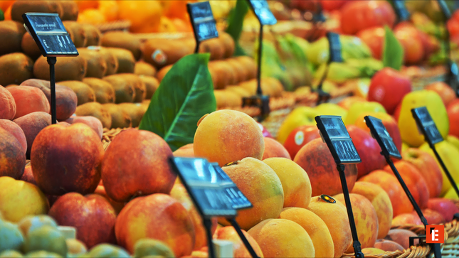 franquicia alcampo 3