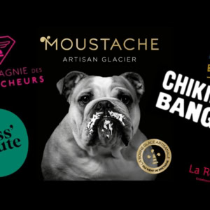 Logos de franchises aux noms originaux