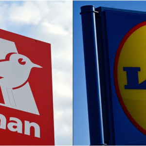 auchan lidl pancarte