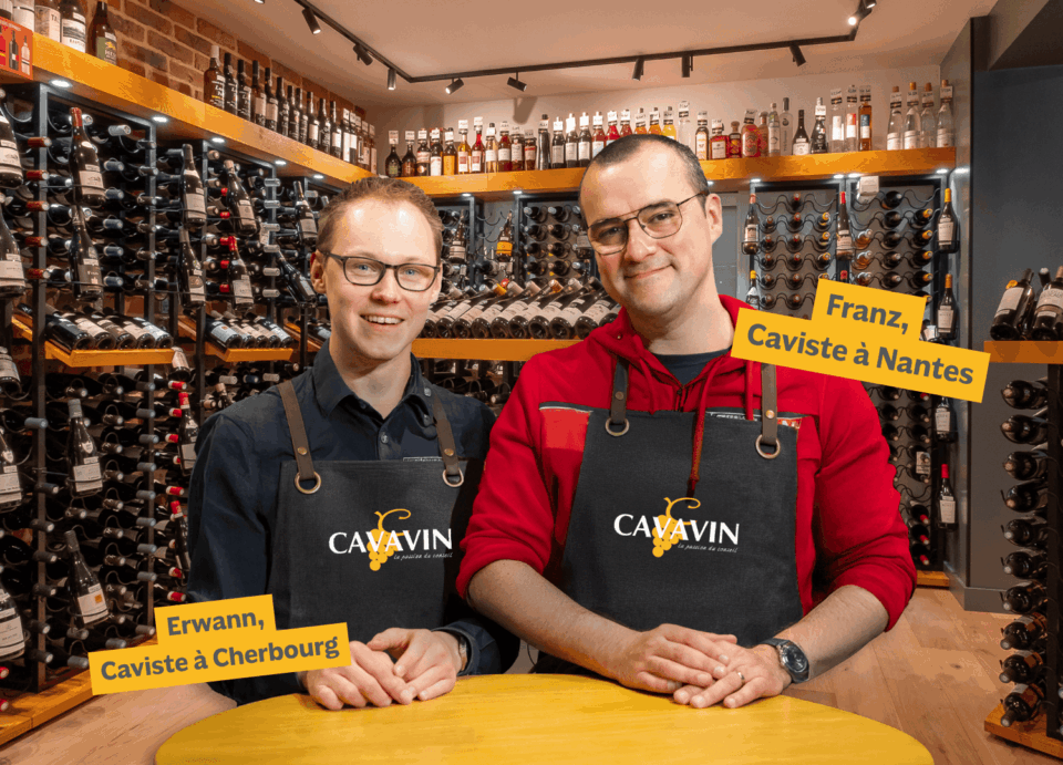 cavavin